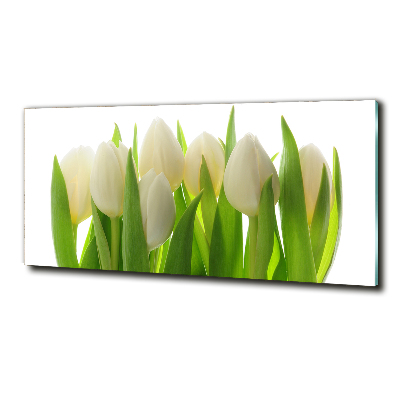 Foto glasbild Tulpen