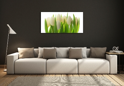 Foto glasbild Tulpen