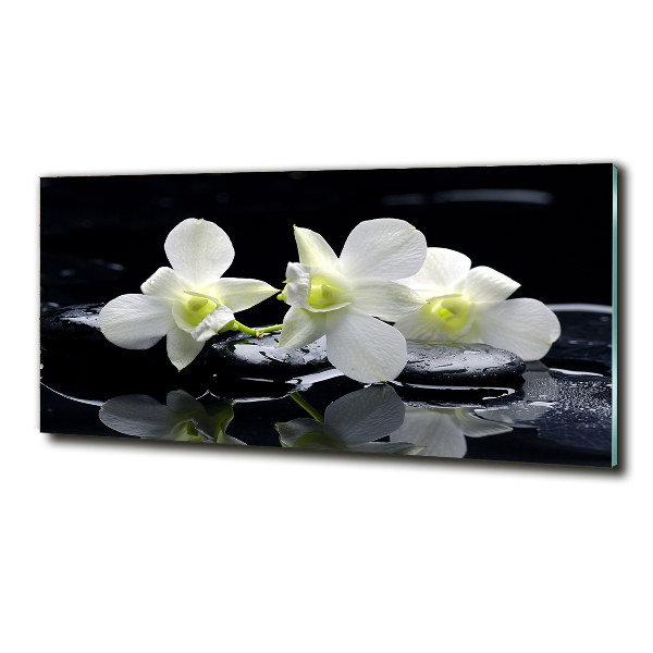 Glasbild Orchidee