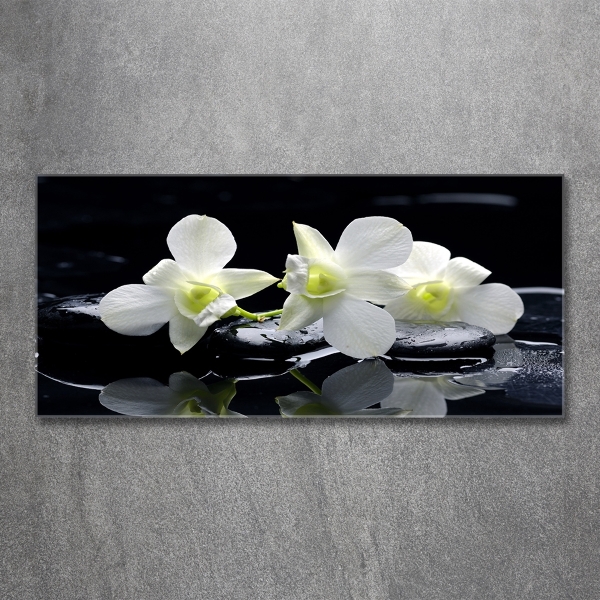 Glasbild Orchidee