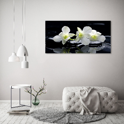 Glasbild Orchidee