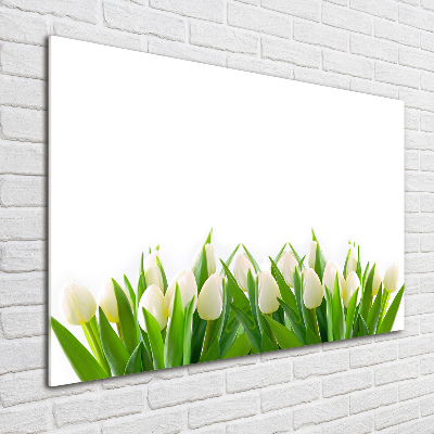 Foto glasbild Weiße Tulpen