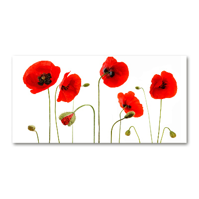 Glasbild Mohnblumen