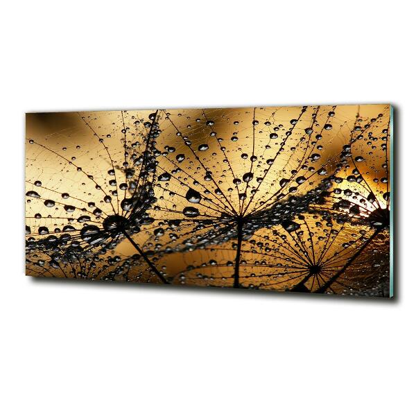 Foto glasbild Löwenzahnsamen