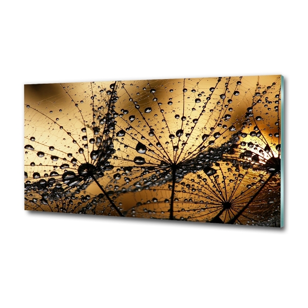 Foto glasbild Löwenzahnsamen