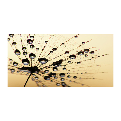 Bild auf glas Löwenzahnsamen