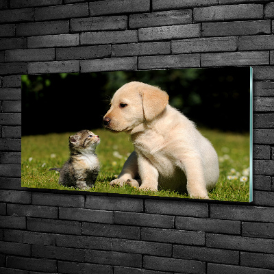Foto glasbild Hund und Katze auf der Wiese