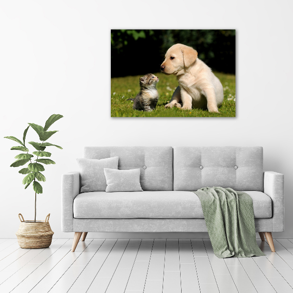 Foto glasbild Hund und Katze auf der Wiese