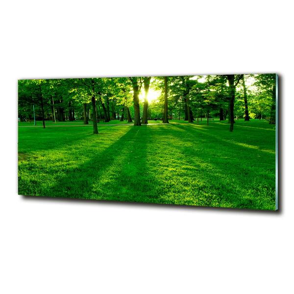 Foto glasbild Gras im Park
