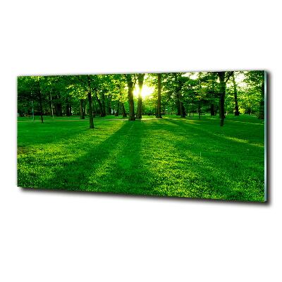 Foto glasbild Gras im Park