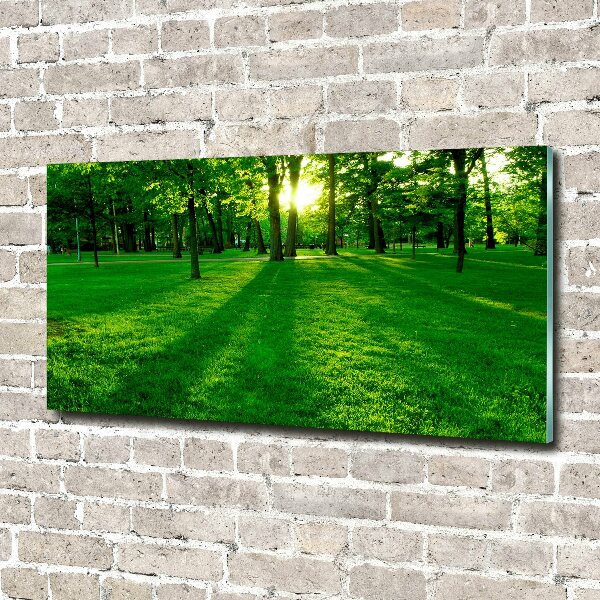 Foto glasbild Gras im Park