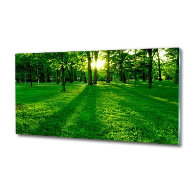 Foto glasbild Gras im Park