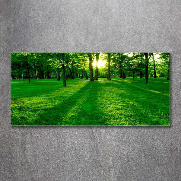 Foto glasbild Gras im Park