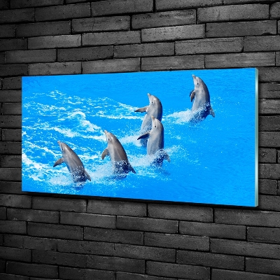 Glasbild Delfine