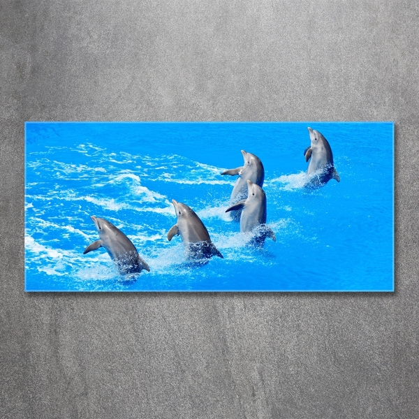 Glasbild Delfine
