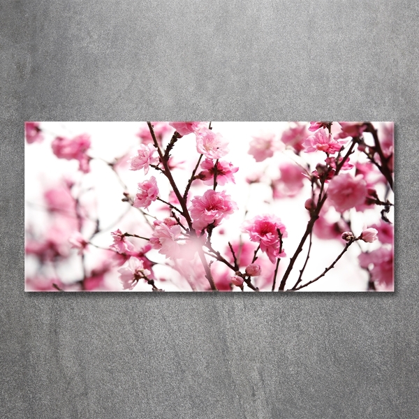 Glasbild Pflaumenblüte