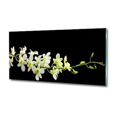 Foto glasbild Orchidee