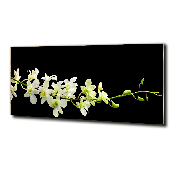 Foto glasbild Orchidee