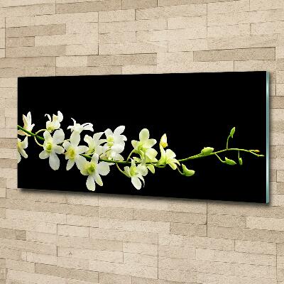 Foto glasbild Orchidee