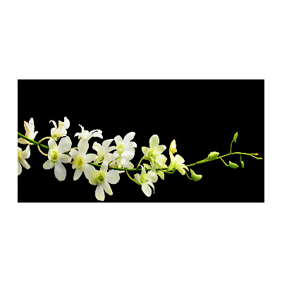 Foto glasbild Orchidee