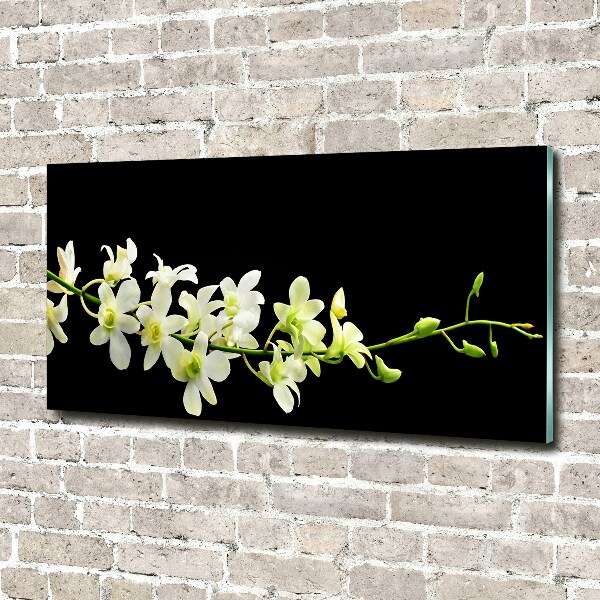 Foto glasbild Orchidee