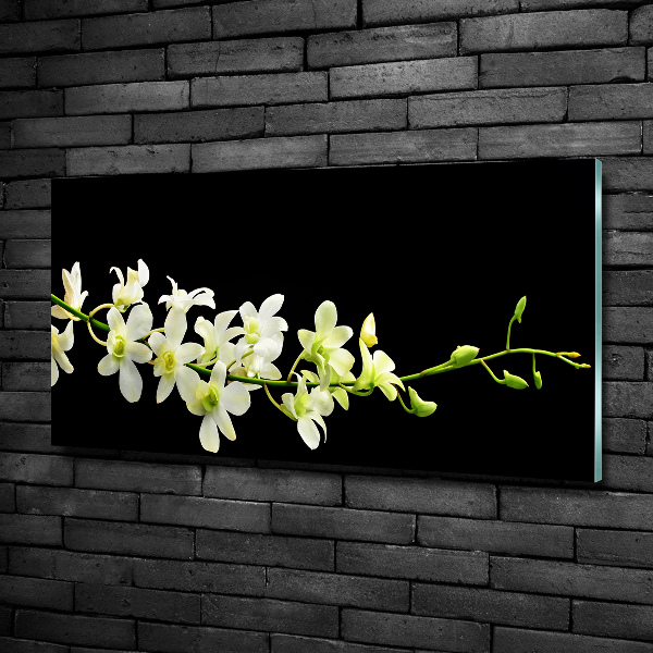 Foto glasbild Orchidee