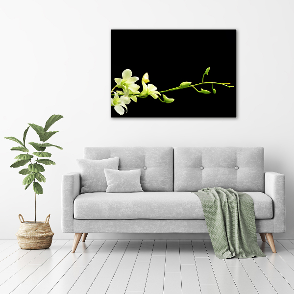 Foto glasbild Orchidee