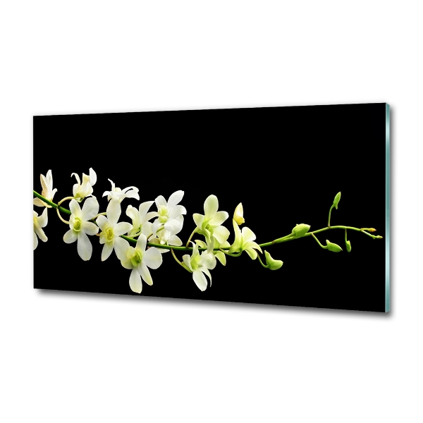Foto glasbild Orchidee