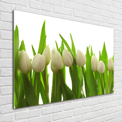 Glasbild Weiße Tulpen