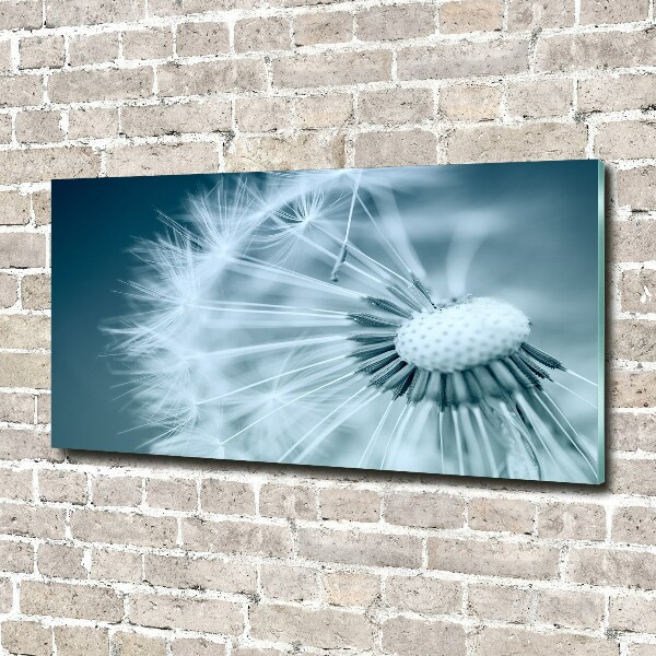 Bild auf glas Löwenzahn