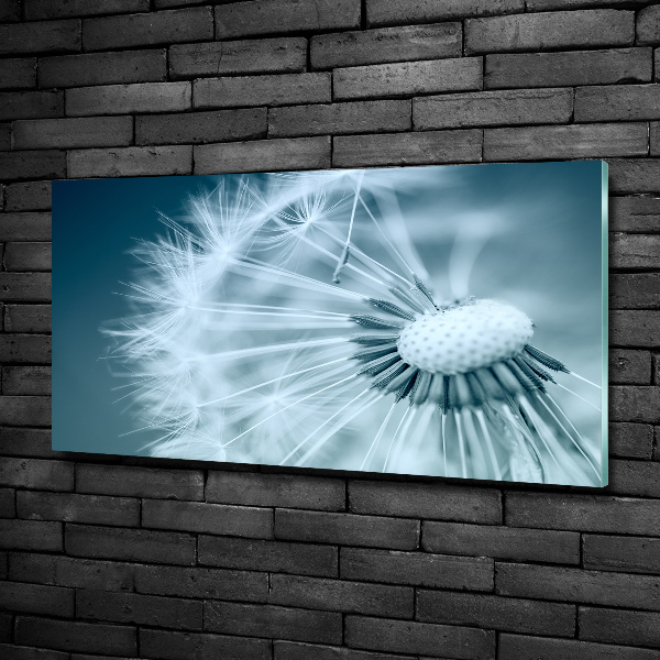 Bild auf glas Löwenzahn