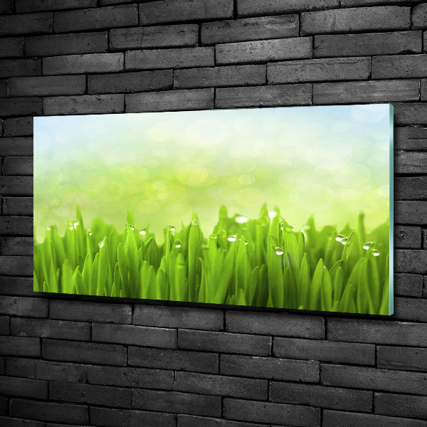 Glasbild Gras