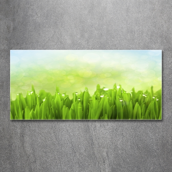 Glasbild Gras
