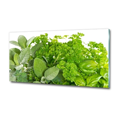 Bild auf glas Kräuter