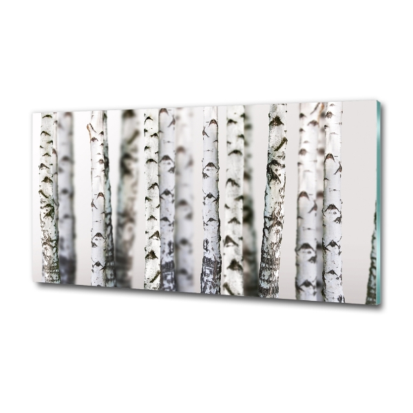 Foto glasbild Birkenstämme