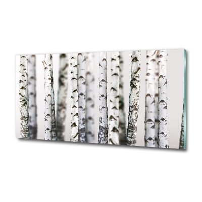 Foto glasbild Birkenstämme