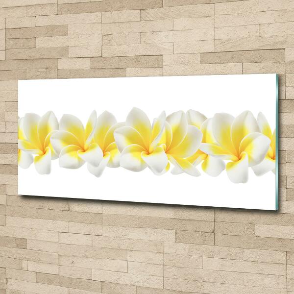 Glasbild Plumeria