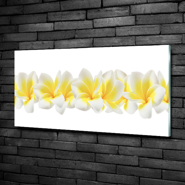 Glasbild Plumeria