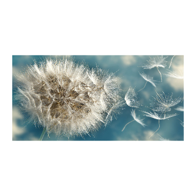 Foto glasbild Löwenzahn