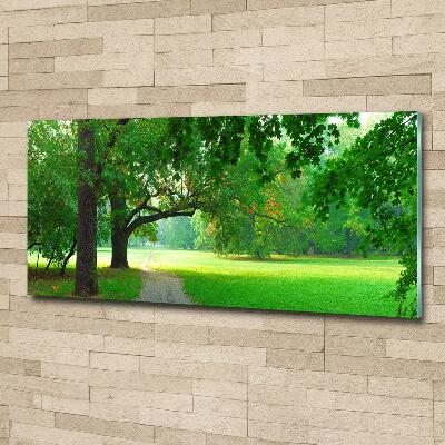 Glasbild Park im Herbst