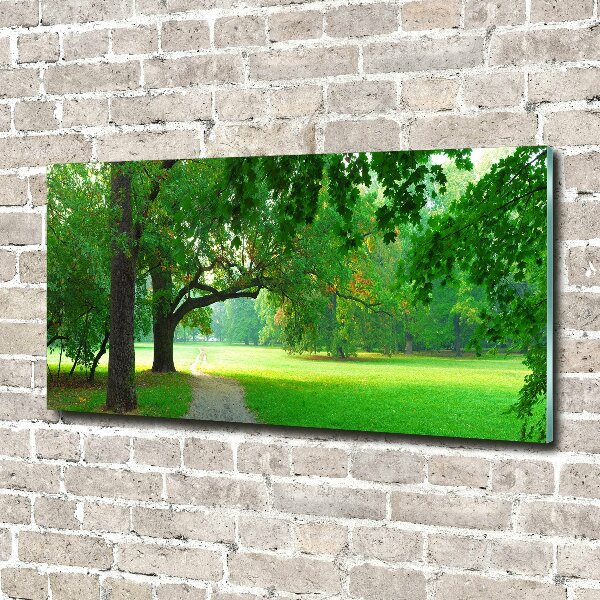 Glasbild Park im Herbst