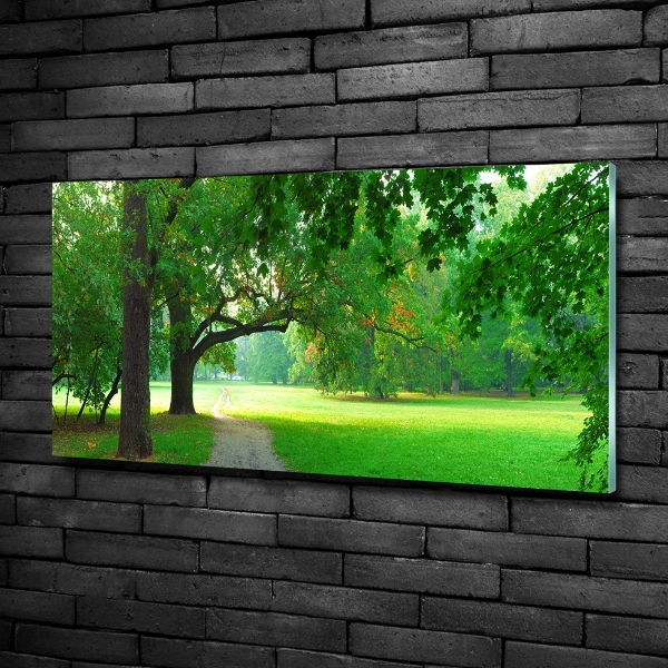 Glasbild Park im Herbst