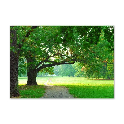 Glasbild Park im Herbst