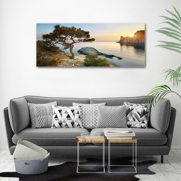 Foto glasbild Ein Baum am Meer