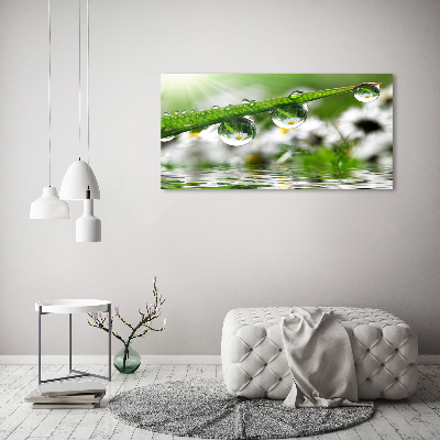 Glasbild Tropfen auf dem Gras