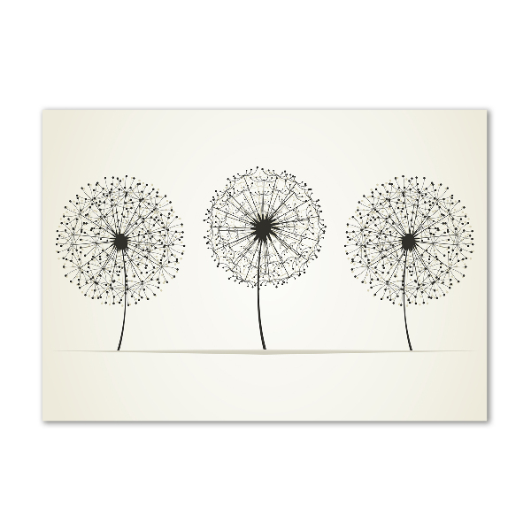 Foto glasbild Löwenzahn