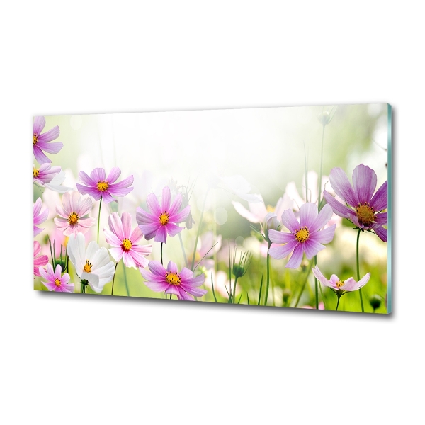 Foto glasbild Blumen auf der Wiese