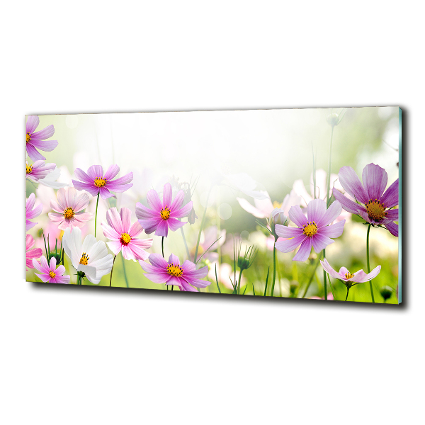 Foto glasbild Blumen auf der Wiese