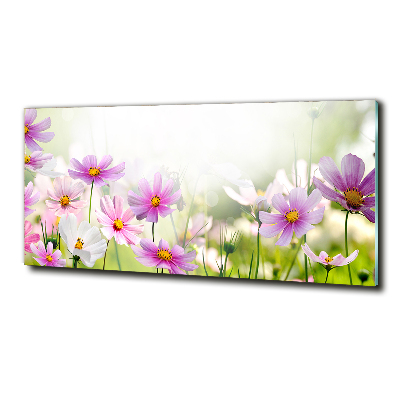 Foto glasbild Blumen auf der Wiese