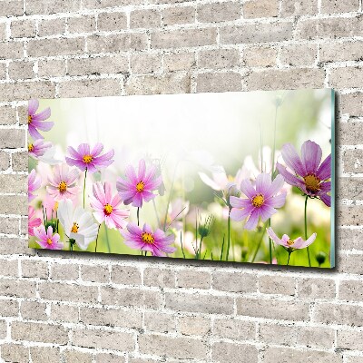 Foto glasbild Blumen auf der Wiese